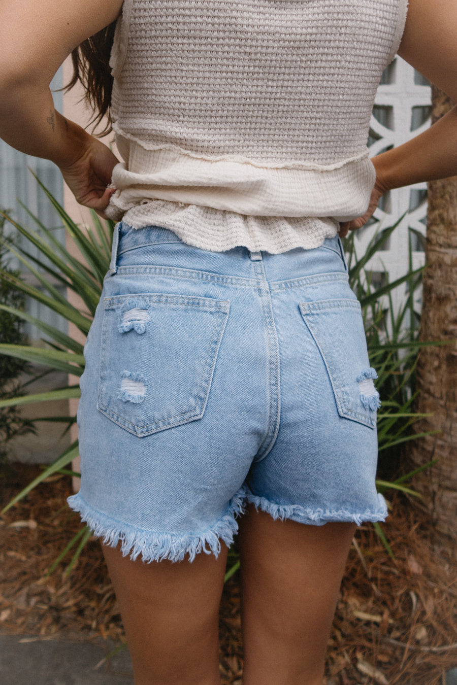 Today's the Day Shorts